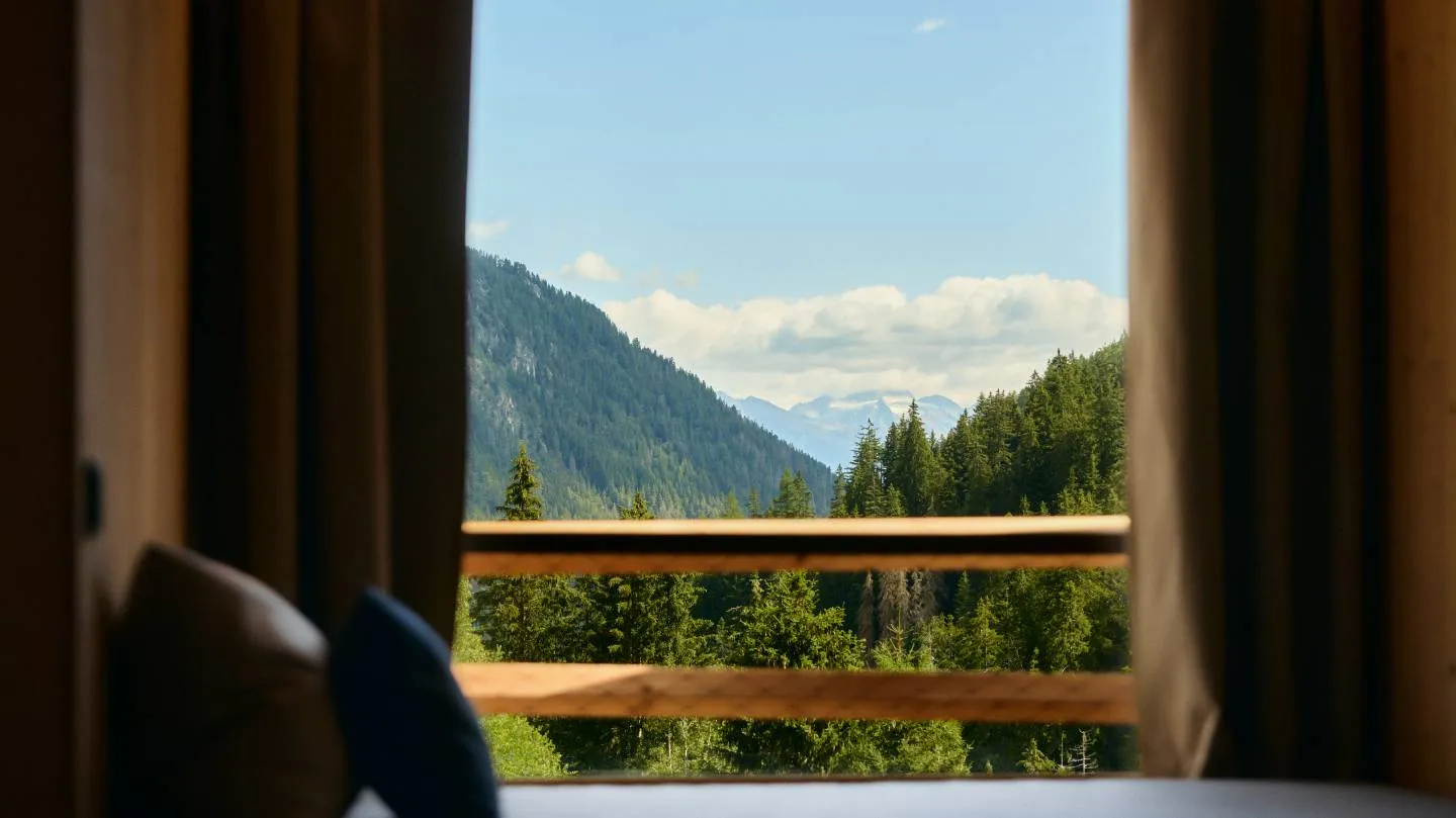 STELVIO HARMONY 2